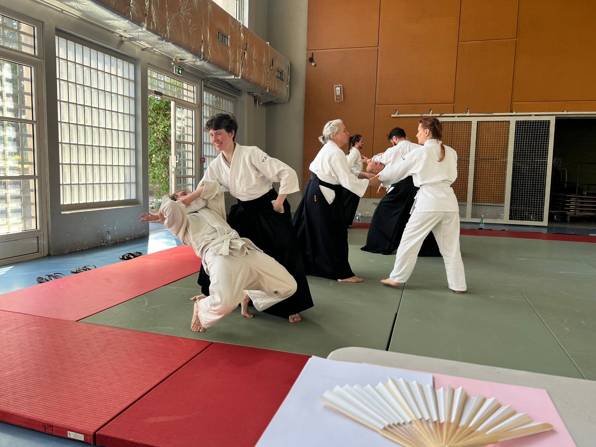 Formation fédérale d'aïkido